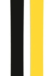 Volkl Bash 86 Flat Ski Winter 2021/2022